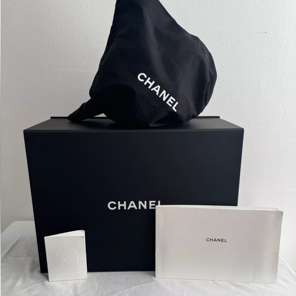 CHANEL DUMA Backpack - 24P - Blue Bag With Silver Accents - Picture 11 of 15